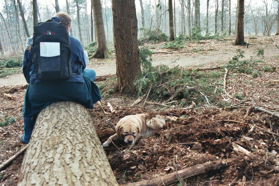 20040328 wandelen0009